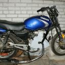 ybr